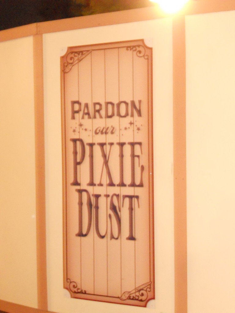 Pardon Our Pixie Dust Time to Rest, Reflect, and Maybe Reimagine